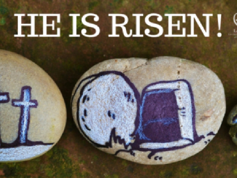 Read more about the article Easter Amid Chaos: Churches Share Hope